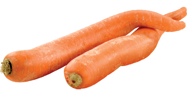 Pair of Naturally Imperfect™ unpeeled imperfectly-shaped orange carrots.